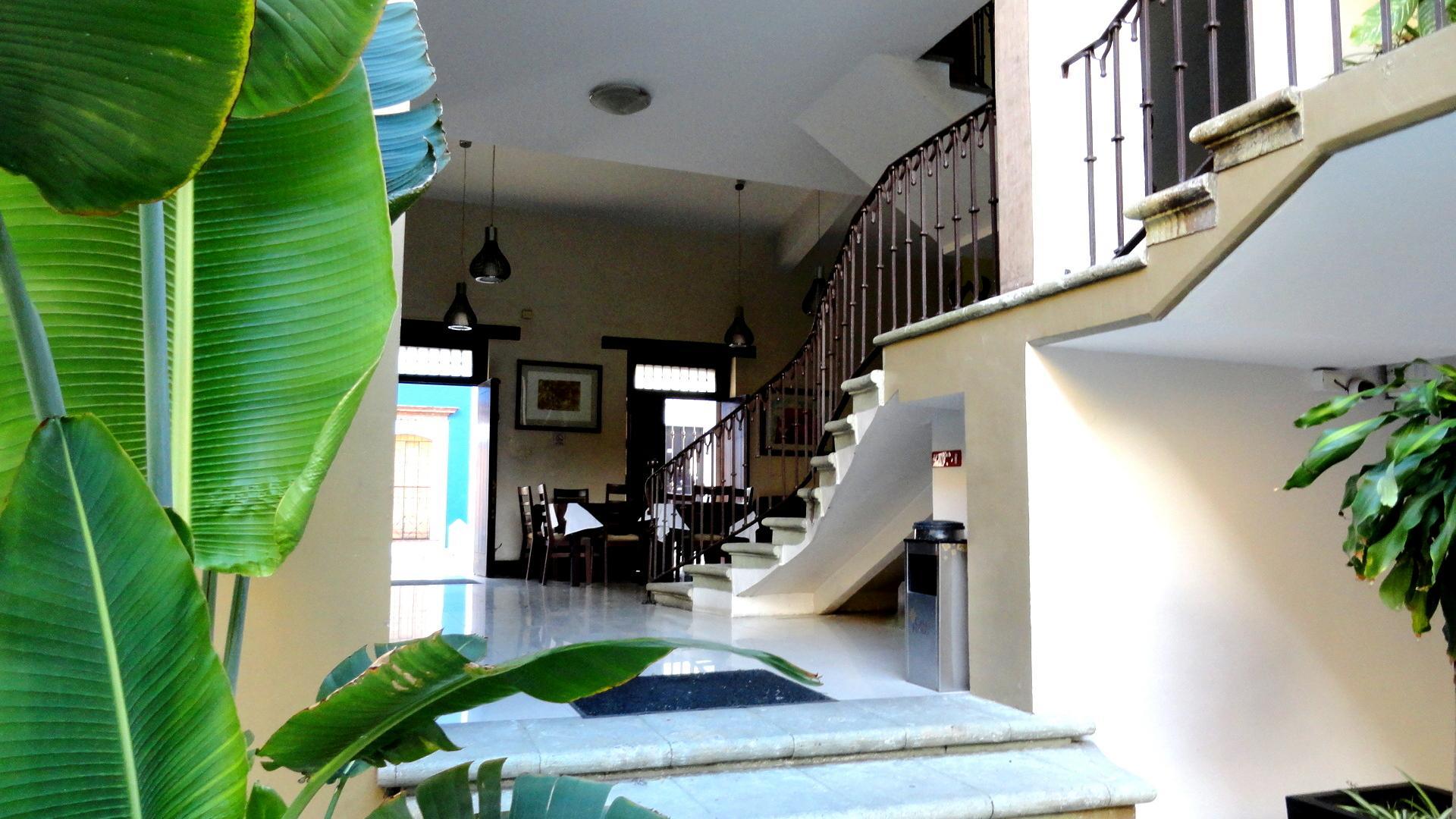 Casa De Las Flores Hotel Oaxaca Eksteriør bilde