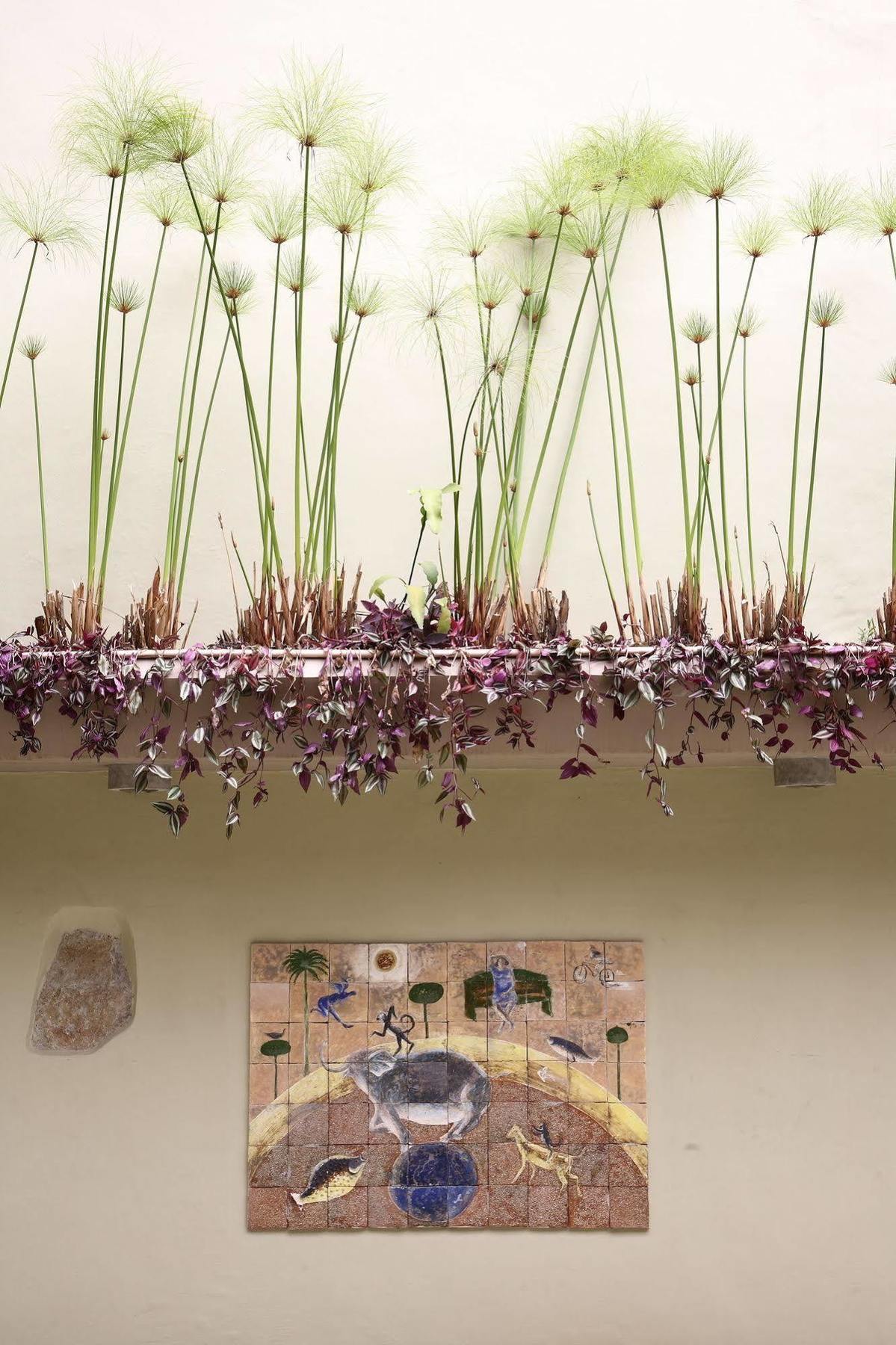 Casa De Las Flores Hotel Oaxaca Eksteriør bilde